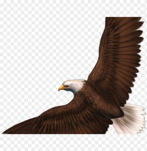 olden eagle clipart aguila - eagle clipart transparent background Free PNG images with alpha channel