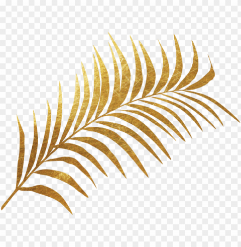 olden plant - fern leaf gold PNG Image with Clear Background Isolated