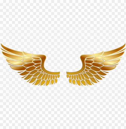 olden wings png transparent image - wings of fire vector No-background PNGs