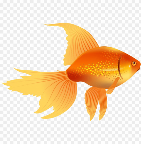 oldfish image - golden fish clip art Free PNG images with transparent layers