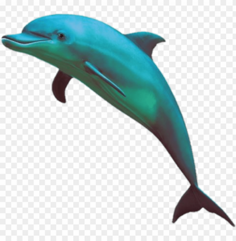 olfinho sticker - vaporwave dolphin PNG files with transparent backdrop complete bundle