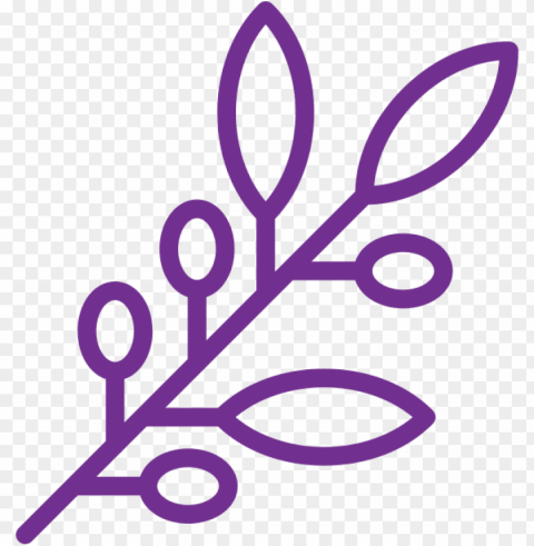 olive-branch - olive PNG Image with Clear Background Isolated