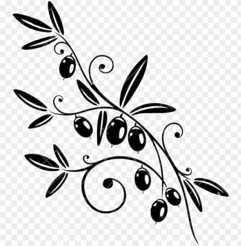 olive branch - olive branch vector clipart PNG Graphic with Clear Background Isolation