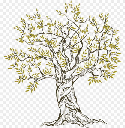 olive tree the blessed one - family tree Clear Background Isolated PNG Object