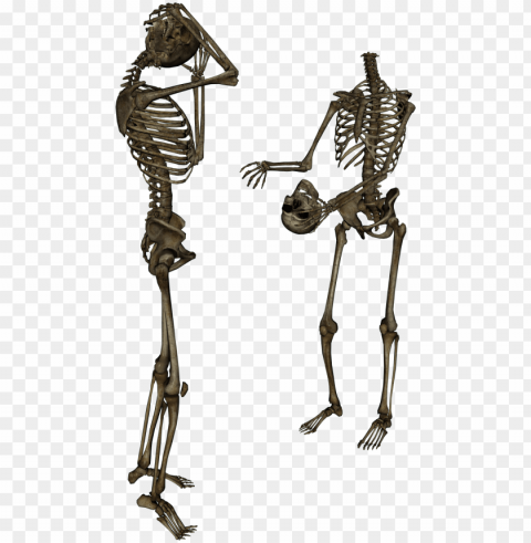 on your request - skeletons Isolated Graphic on Clear PNG