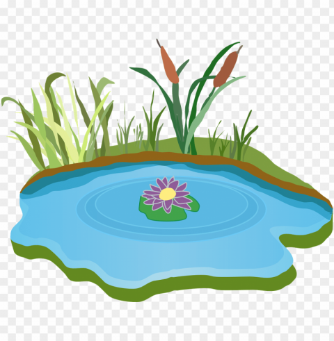 ond water outdoor - free clipart pond Transparent Background PNG Isolated Graphic