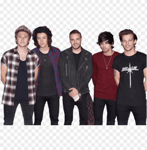 one direction at the iheartradio festival 2014 sorry Clear PNG pictures comprehensive bundle