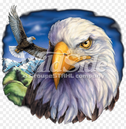 one eagle flying & eagle head - american eagle flag Isolated PNG on Transparent Background