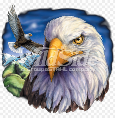 one eagle flying & eagle head - american eagle flag Isolated PNG on Transparent Background PNG transparent with Clear Background ID be8c570a