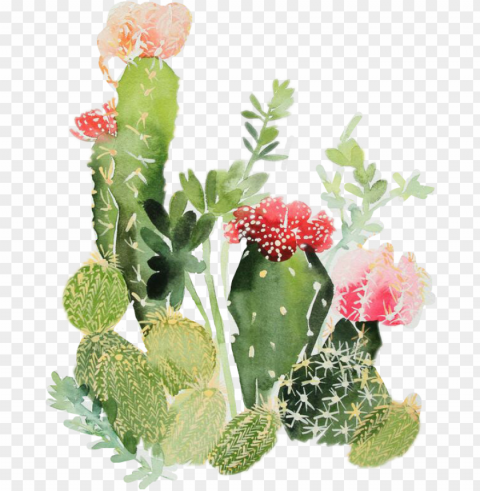 opales - cactus watercolor print PNG free download