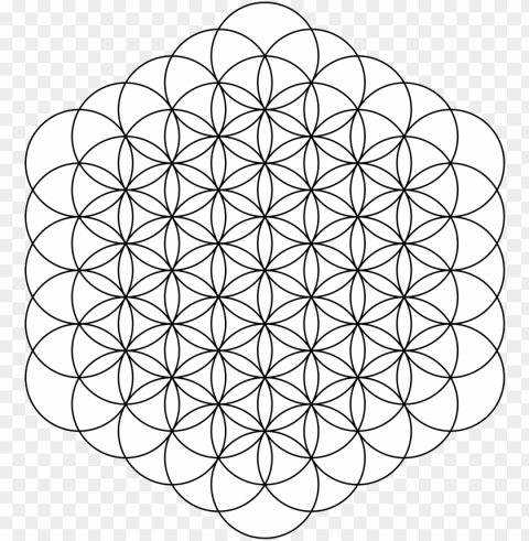 open - flower of life no background PNG Image with Isolated Artwork PNG transparent with Clear Background ID f6509c8b