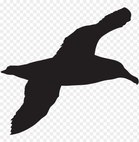 opular - sea bird silhouette Transparent PNG images extensive gallery