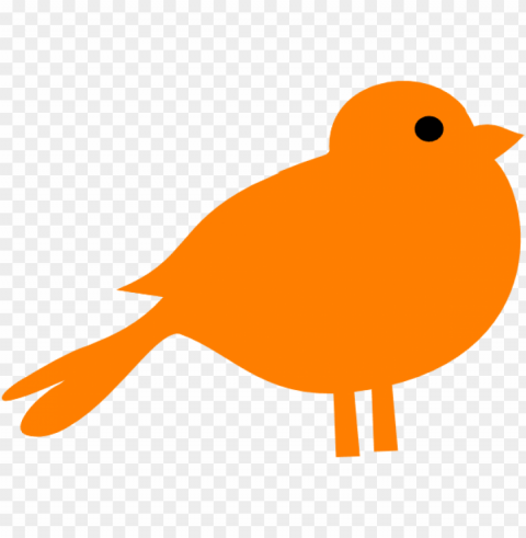 Orange Bird Transparent PNG Images Bulk Package