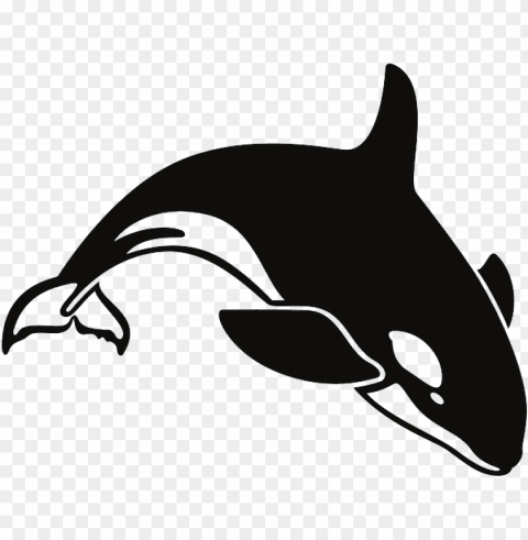 orca clipart transparent - killer whale throw blanket High-resolution PNG images with transparency wide set