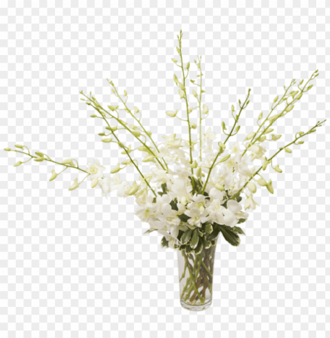orchid beauty white small - bouquet Transparent pics PNG transparent with Clear Background ID d99e6de3