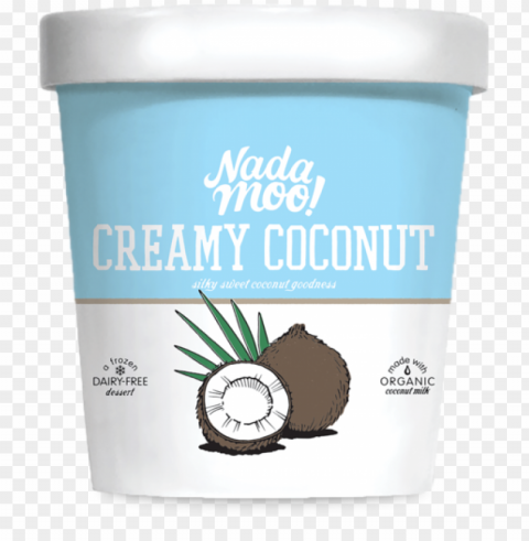organic creamy coconut ice cream made with coconut - nadamoo frozen dessert dairy-free the rockiest road PNG with clear transparency