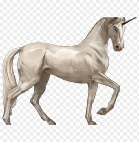 original - unicorn PNG photo without watermark PNG transparent with Clear Background ID 58abb1b5