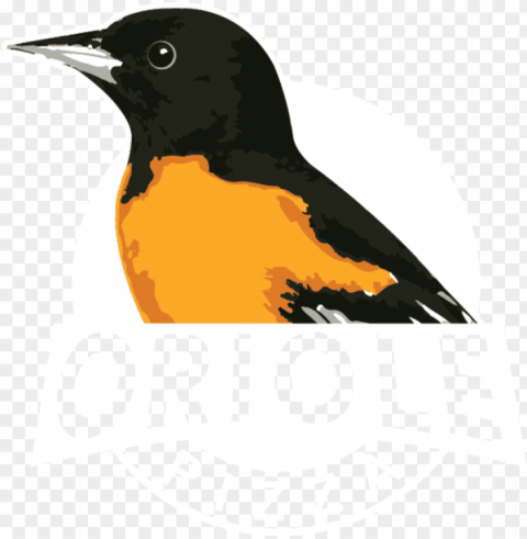 oriole pizza Transparent PNG stock photos PNG transparent with Clear Background ID 0ad7cc8b