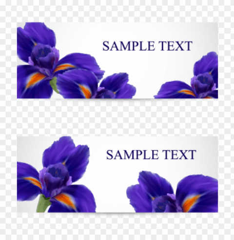 ostcards with realistic iris flowers iris flower - flower PNG images with alpha transparency free PNG transparent with Clear Background ID 82bee62e