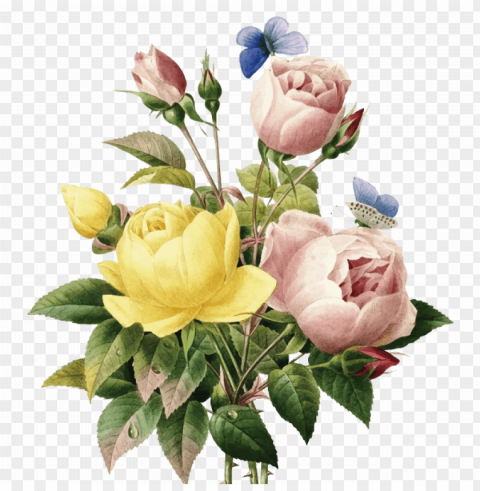 oster lindas flores - vintage flower illustratio PNG for online use