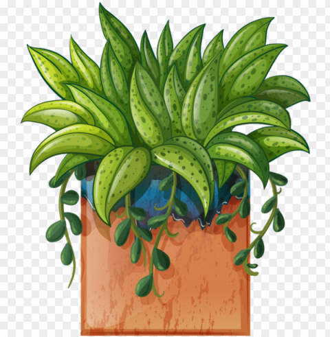 ot plant clipart beautiful flower pencil and in color - potted plants clipart hd Isolated Graphic on HighQuality Transparent PNG PNG transparent with Clear Background ID c9b57e4c