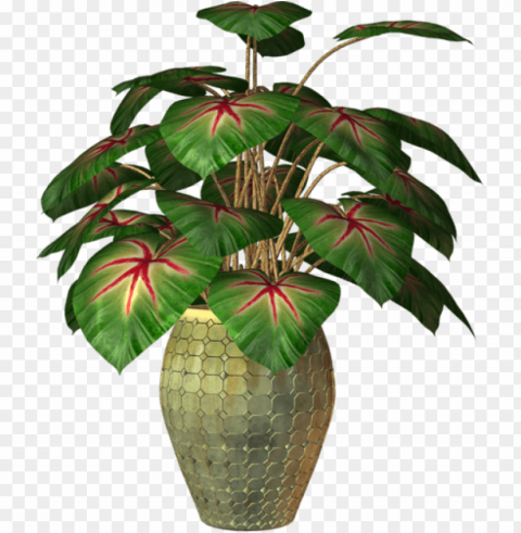 ot plant clipart - flower plants in pot PNG images with transparent space