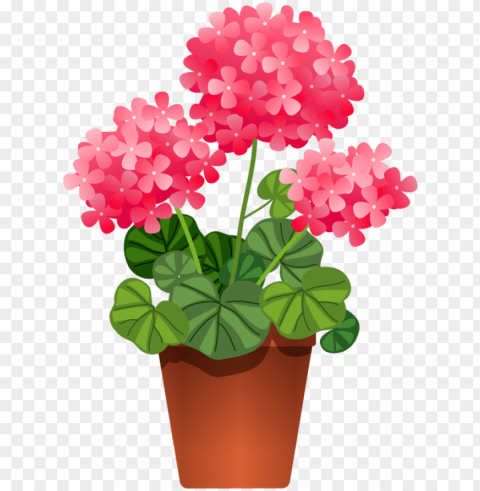 otted flowers flower clipart flowers nature potted - potted plant clipart PNG files with clear background variety