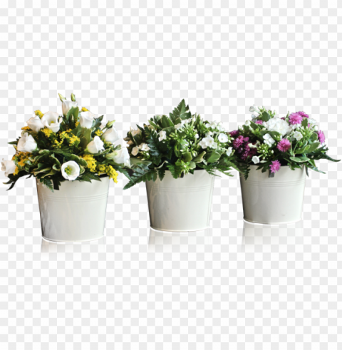 otted plants and flowers - flowers in pot Free PNG images with alpha channel variety