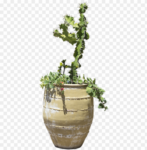 otted plants clipart transparent background - big plant pot PNG files with alpha channel