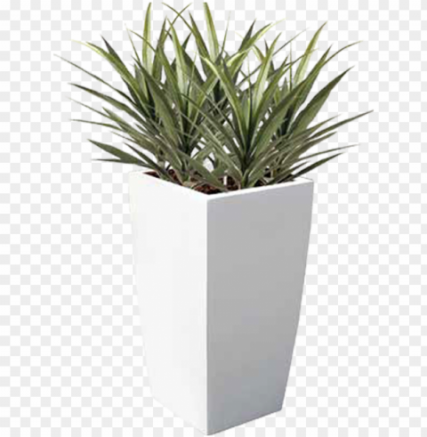 our choice is extensive featuring over a thousand - flowerpot PNG images with alpha background PNG transparent with Clear Background ID 4ade867f