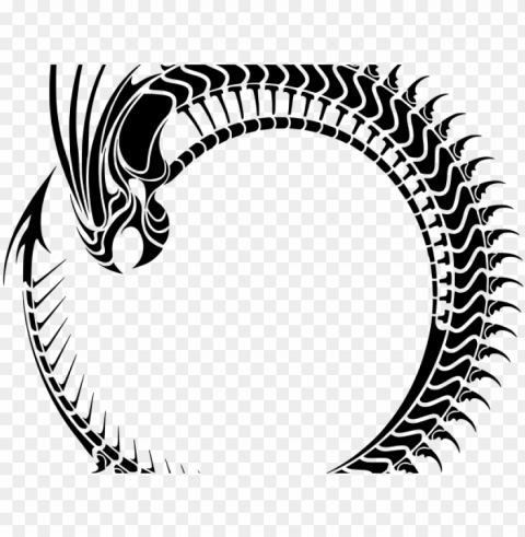 ouroboros transparent images - ouroboros Isolated Graphic on Clear PNG