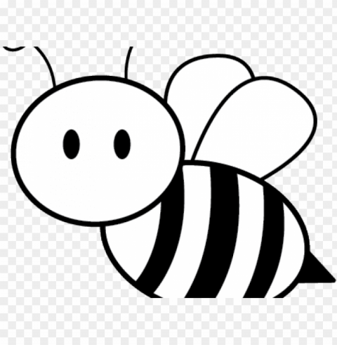 outline image of honey bee PNG transparency