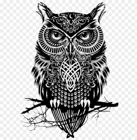 Owl Art - Owl Art Black And White Transparent PNG Illustrations