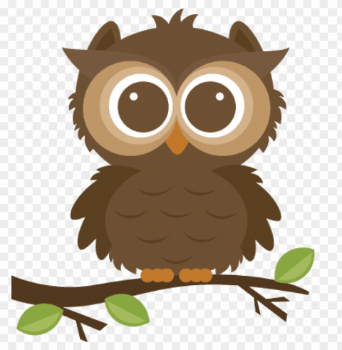 owl - cute owl clipart PNG with clear background extensive compilation