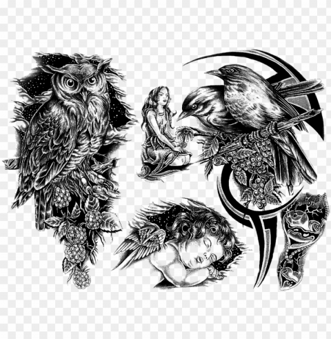owl tattoo desi Transparent PNG images for graphic design