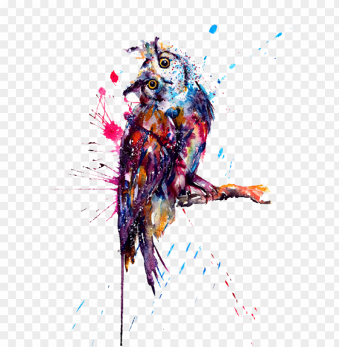 owl tattoo watercolor painting image freeuse stock - owl tattoos background Isolated Item on Transparent PNG