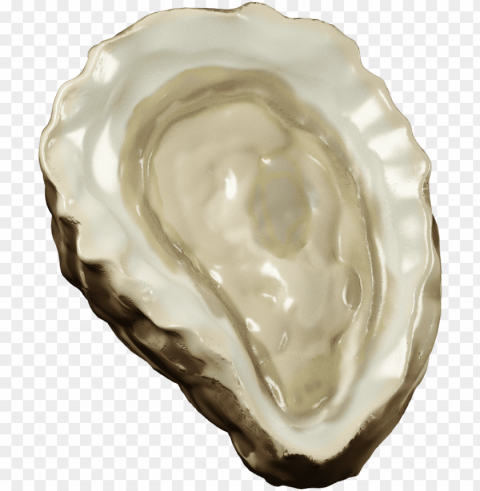 oyster 2 - tiostrea chilensis Isolated Subject in Clear Transparent PNG