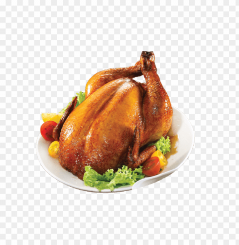 packed chicken meat Isolated Subject in HighResolution PNG