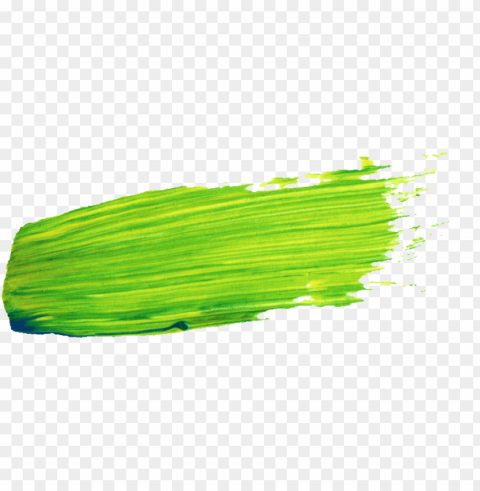 paint brush stroke Transparent Cutout PNG Isolated Element