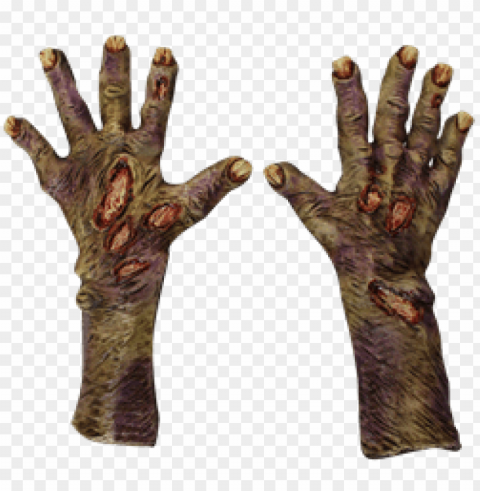 pair of zombie hands Clear background PNGs