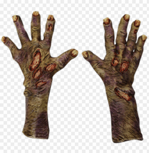 Pair Of Zombie Hands Clear Background PNGs