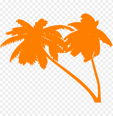 palm tree vector PNG files with no royalties