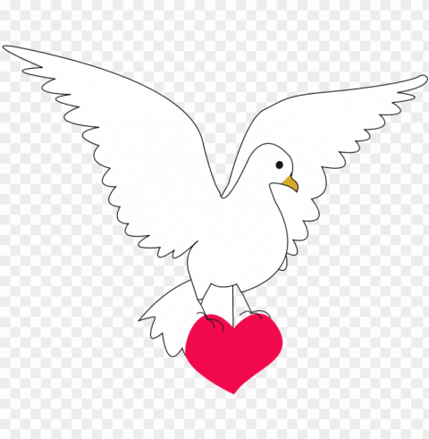 paloma de la paz y amor Isolated Element in Transparent PNG