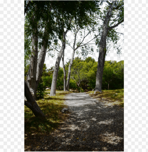 path PNG Isolated Subject with Transparency