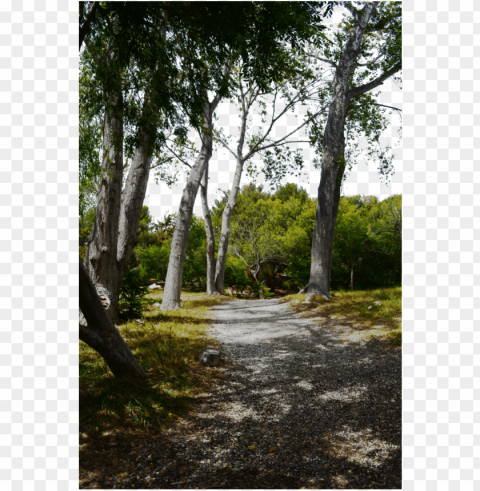 path PNG Isolated Subject with Transparency images Background - image ID is 5d3864bc