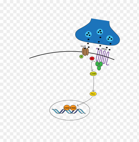 pathway Isolated Subject in Clear Transparent PNG