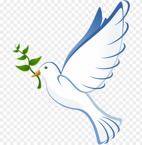 peace dove PNG Image Isolated with Transparency