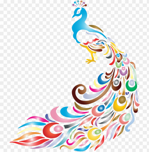 peacock design vector PNG for use