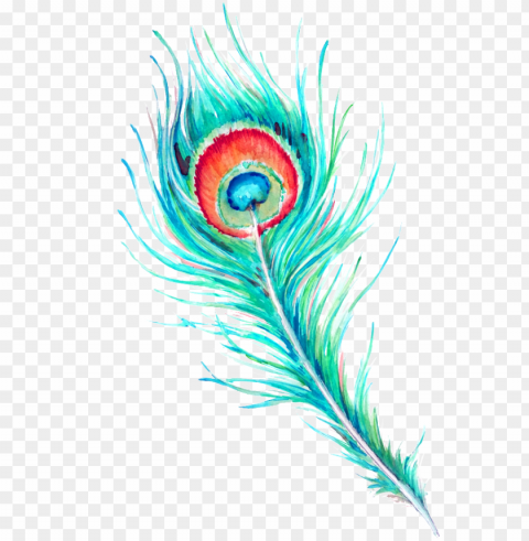 peacock feather watercolor free PNG design elements