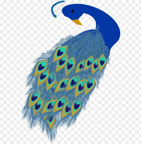 peacock featherfor kids - mothers day card peacock PNG images with transparent space